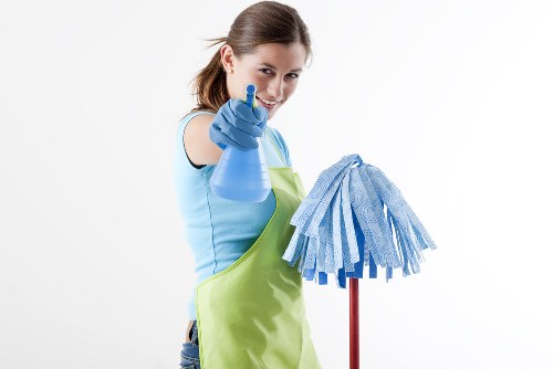 Professional domestic cleaning in a Bloomsbury home interior