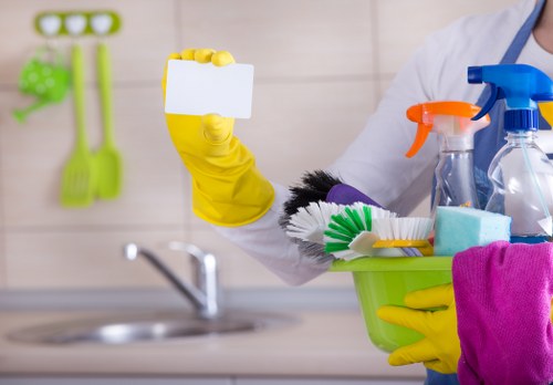 Professional sofa cleaning in Bloomsbury living room