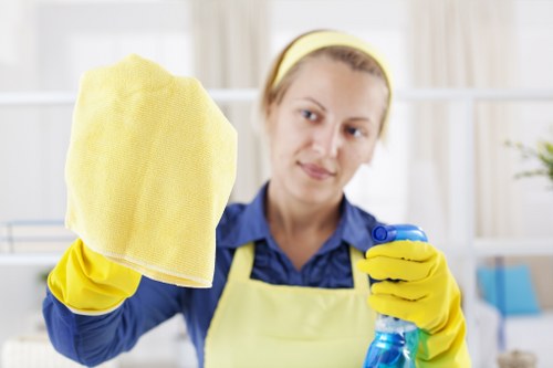 Professional cleaners working in a Bloomsbury home interior