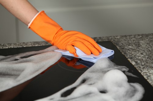 Professional house cleaning in a Bloomsbury home with elegant interior details