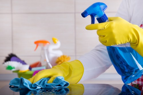 Cleaning service homepage for Bloomsbury with local service options