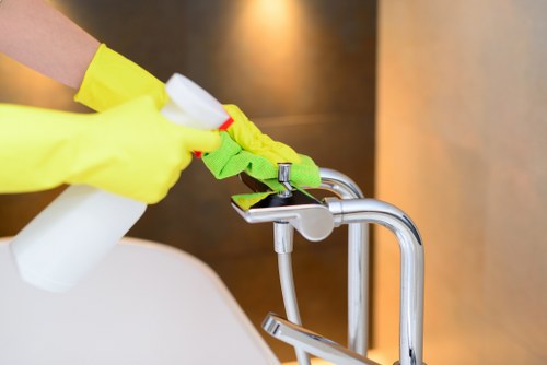 One off cleaning service in Bloomsbury for homes and offices