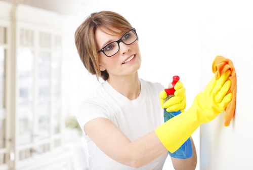 Professional cleaner removing renovation dust from a renovated room