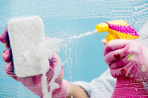 Residential window cleaning service improving natural light in Bloomsbury