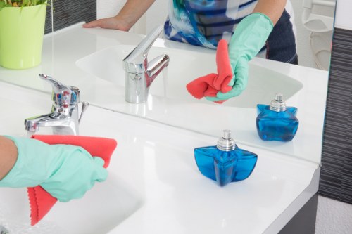 Professional Bloomsbury cleaners maintaining a tidy London interior