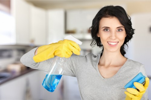 Professional home cleaners working in a Bloomsbury apartment