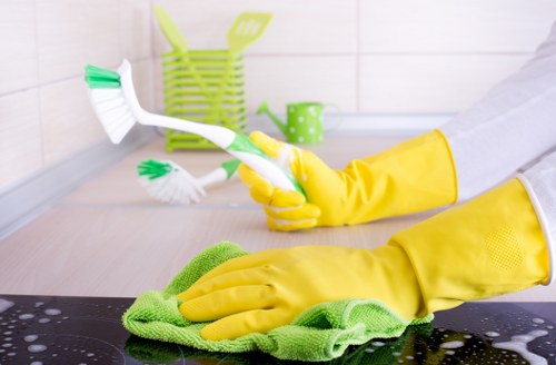 Deep cleaning kitchen and bathroom areas in Bloomsbury property