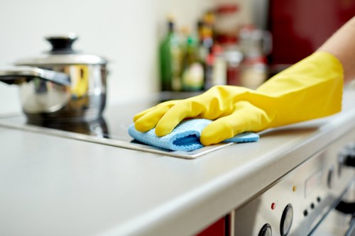 Detailed after builders cleaning of windows and surfaces in Bloomsbury