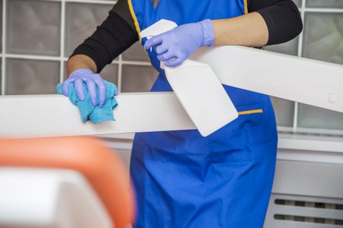 Cleaning supplies arranged for domestic cleaning services in Bloomsbury
